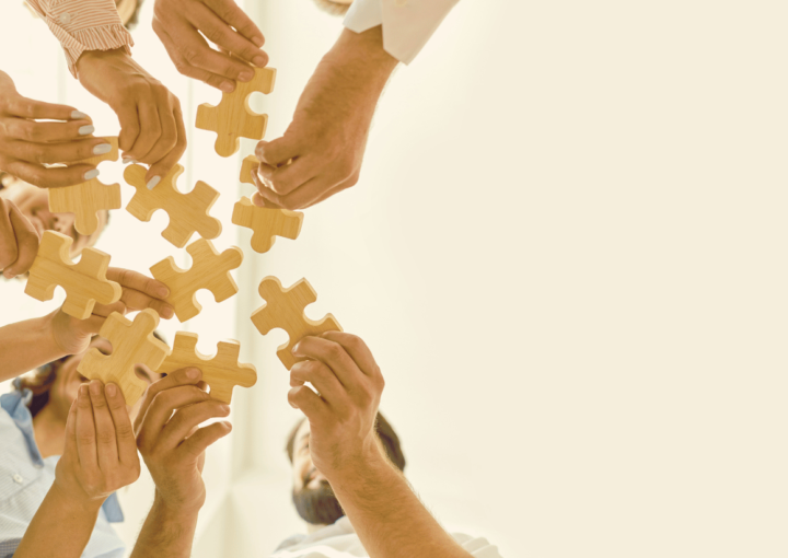 equipo de élite para tu negocio